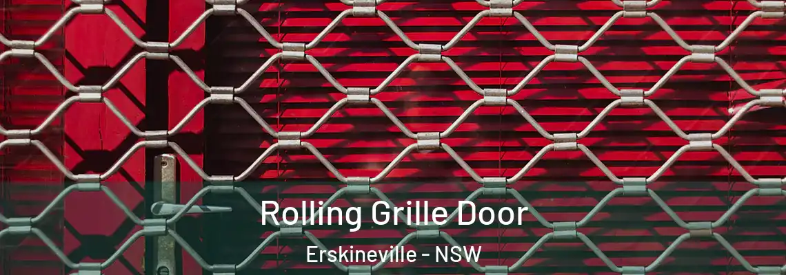 Rolling Grille Door Erskineville - NSW
