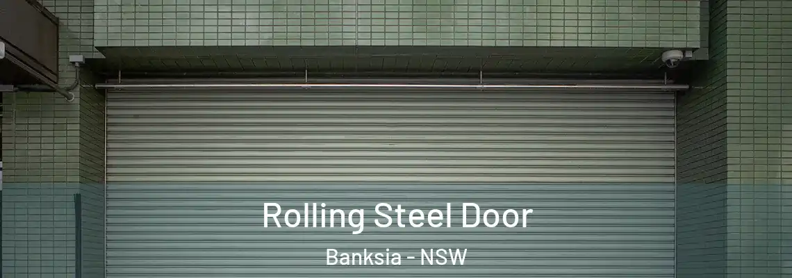 Rolling Steel Door Banksia - NSW