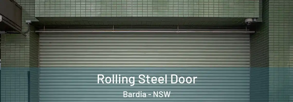 Rolling Steel Door Bardia - NSW