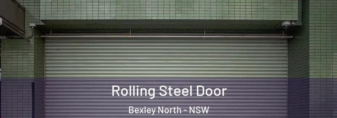  Rolling Steel Door Bexley North - NSW