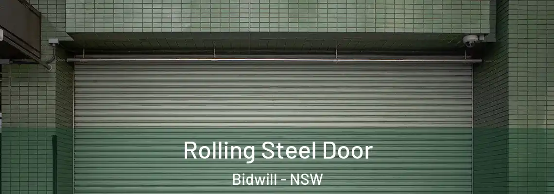  Rolling Steel Door Bidwill - NSW