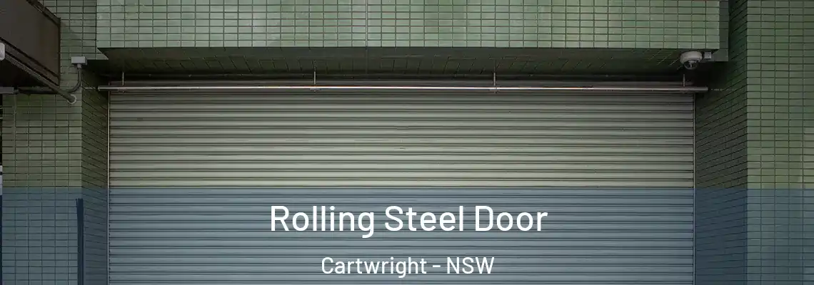 Rolling Steel Door Cartwright - NSW