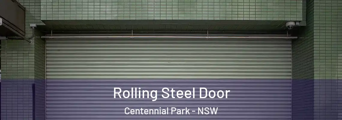 Rolling Steel Door Centennial Park - NSW