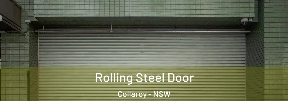 Rolling Steel Door Collaroy - NSW