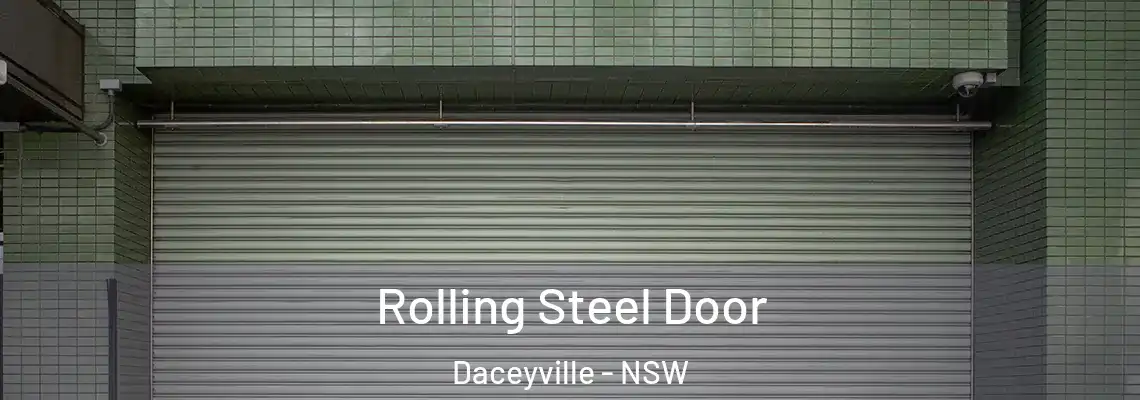 Rolling Steel Door Daceyville - NSW
