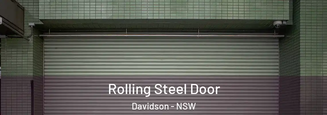 Rolling Steel Door Davidson - NSW