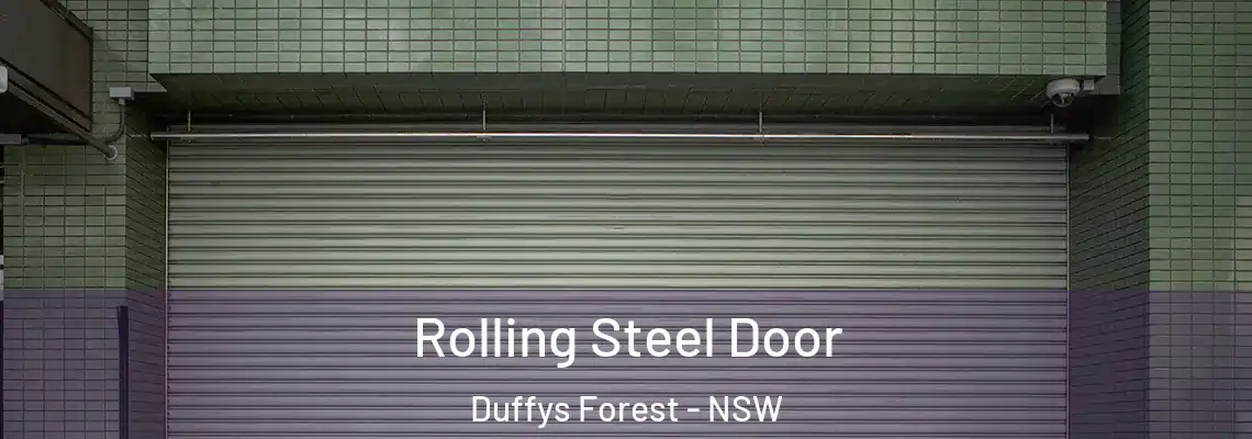 Rolling Steel Door Duffys Forest - NSW