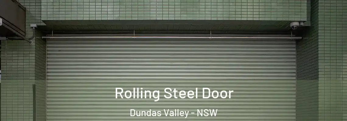  Rolling Steel Door Dundas Valley - NSW