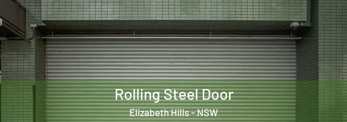 Rolling Steel Door Elizabeth Hills - NSW