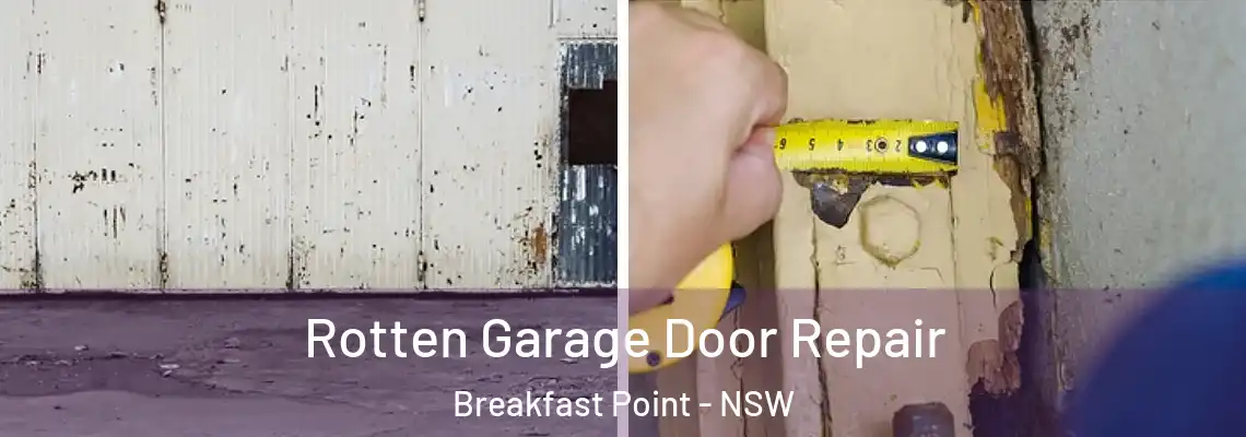 Rotten Garage Door Repair Breakfast Point - NSW