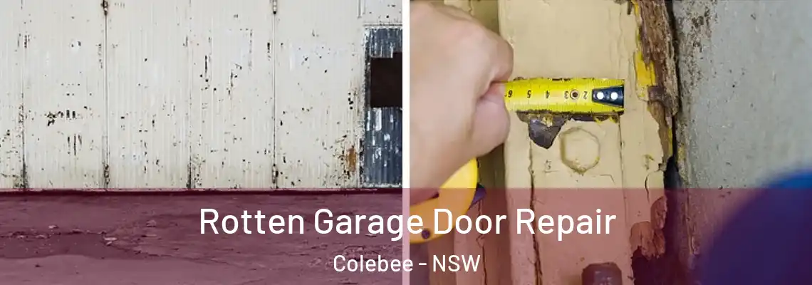 Rotten Garage Door Repair Colebee - NSW