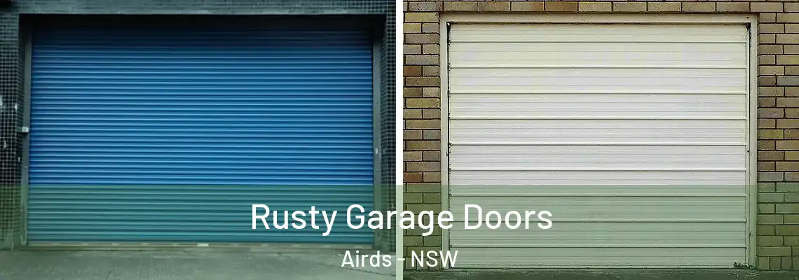  Rusty Garage Doors Airds - NSW