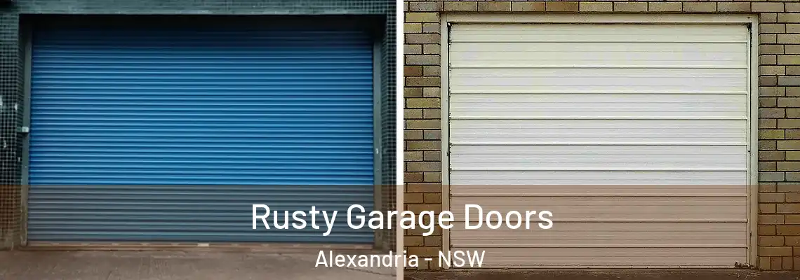 Rusty Garage Doors Alexandria - NSW