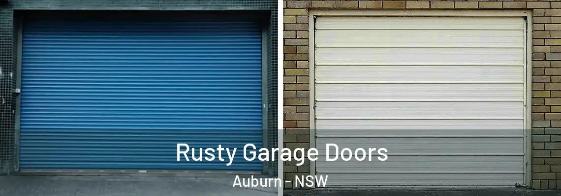 Rusty Garage Doors Auburn - NSW