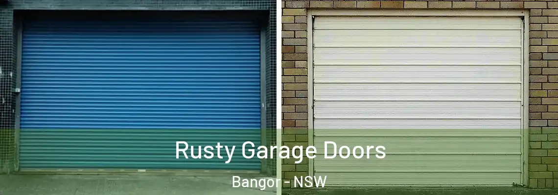 Rusty Garage Doors Bangor - NSW