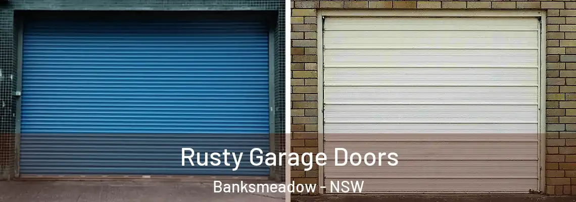 Rusty Garage Doors Banksmeadow - NSW