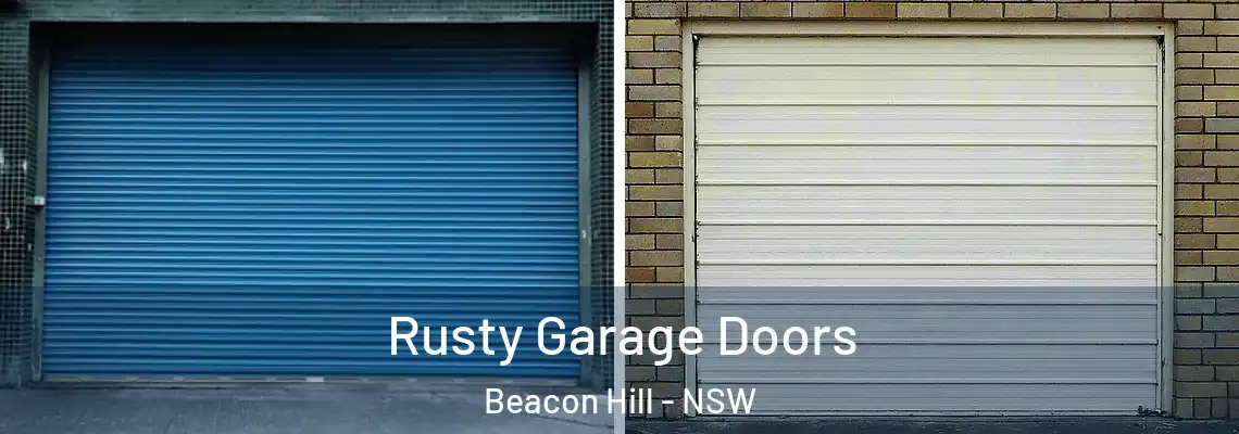  Rusty Garage Doors Beacon Hill - NSW