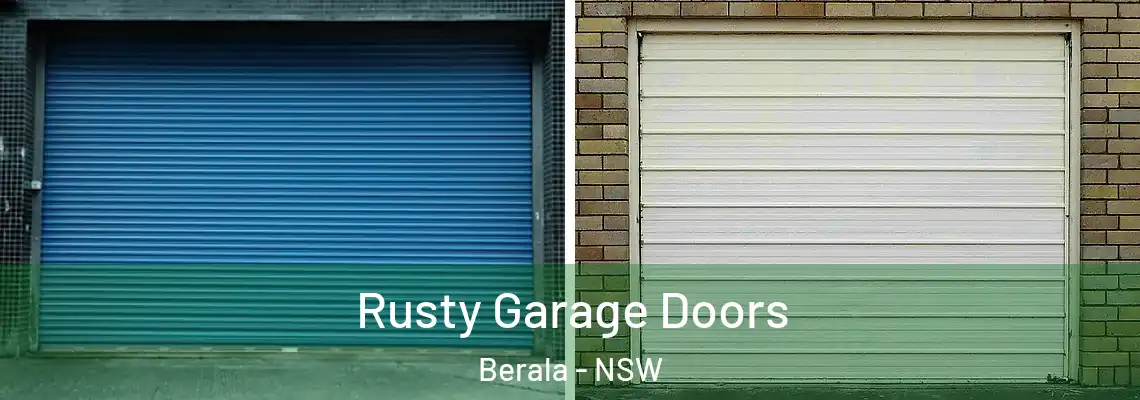 Rusty Garage Doors Berala - NSW