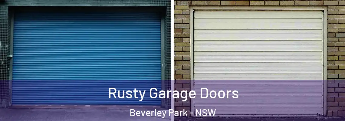 Rusty Garage Doors Beverley Park - NSW