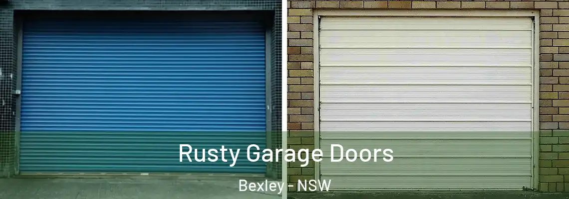 Rusty Garage Doors Bexley - NSW