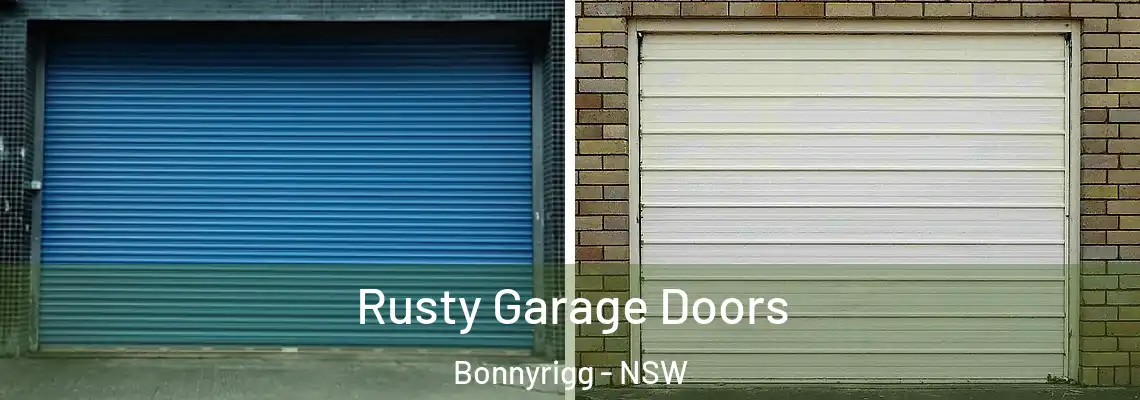 Rusty Garage Doors Bonnyrigg - NSW