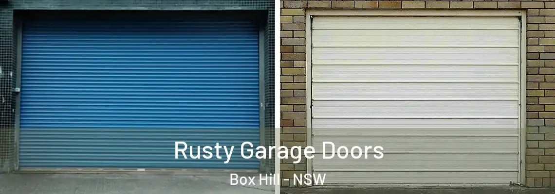 Rusty Garage Doors Box Hill - NSW