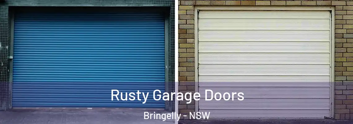 Rusty Garage Doors Bringelly - NSW