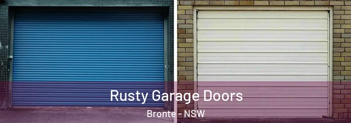 Rusty Garage Doors Bronte - NSW