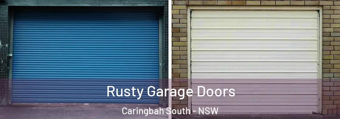 Rusty Garage Doors Caringbah South - NSW