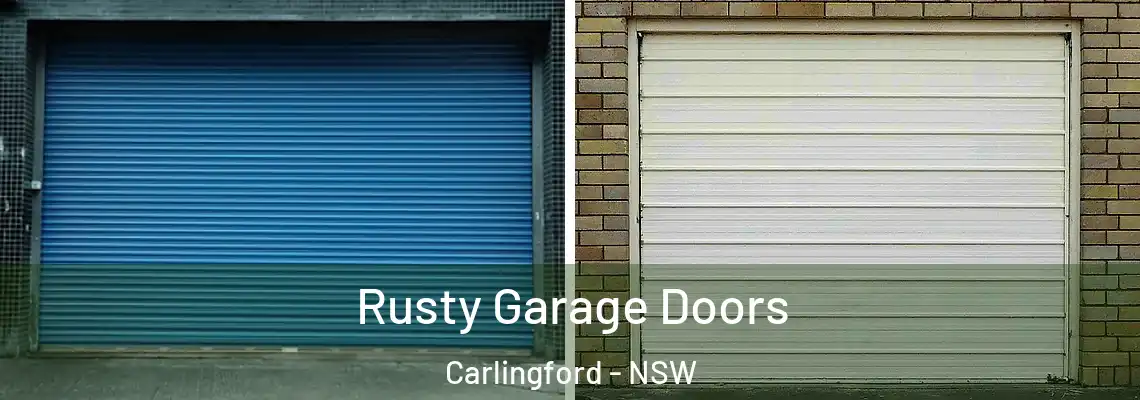 Rusty Garage Doors Carlingford - NSW