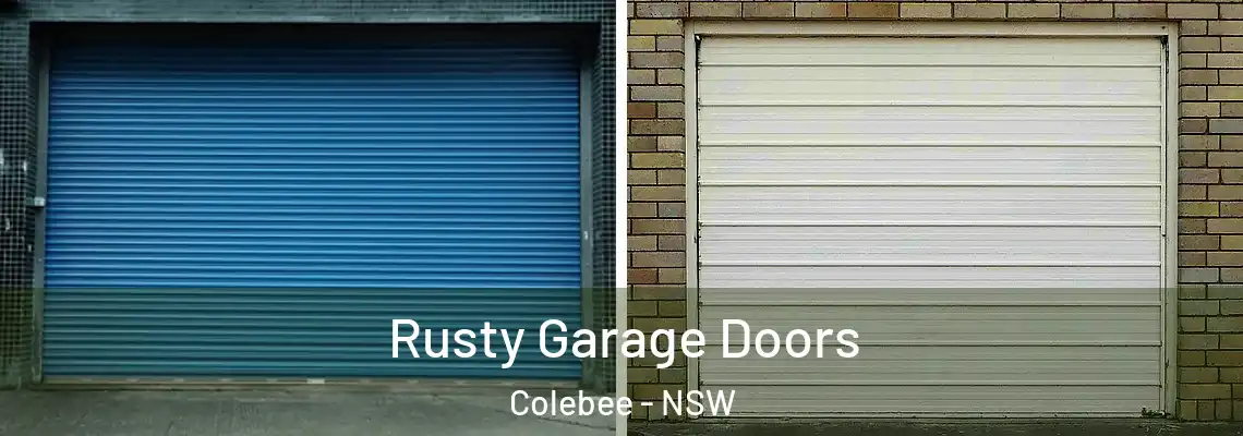 Rusty Garage Doors Colebee - NSW