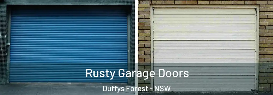  Rusty Garage Doors Duffys Forest - NSW