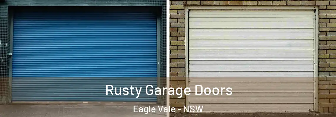 Rusty Garage Doors Eagle Vale - NSW
