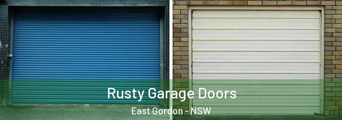 Rusty Garage Doors East Gordon - NSW