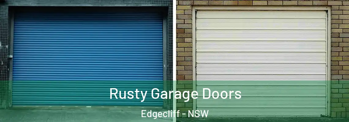  Rusty Garage Doors Edgecliff - NSW