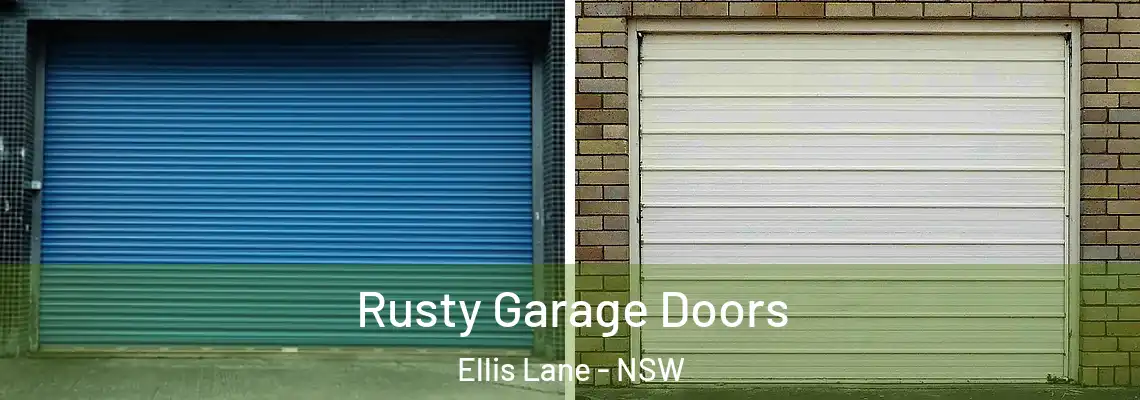 Rusty Garage Doors Ellis Lane - NSW