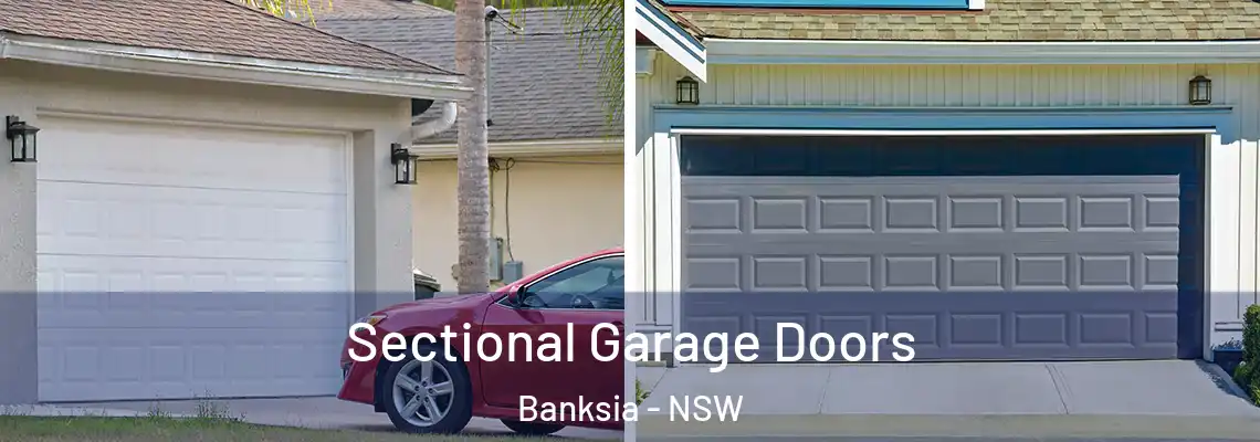 Sectional Garage Doors Banksia - NSW
