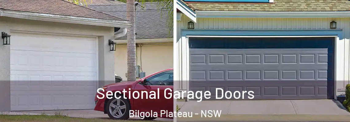 Sectional Garage Doors Bilgola Plateau - NSW