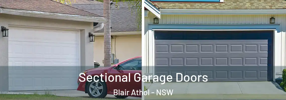Sectional Garage Doors Blair Athol - NSW