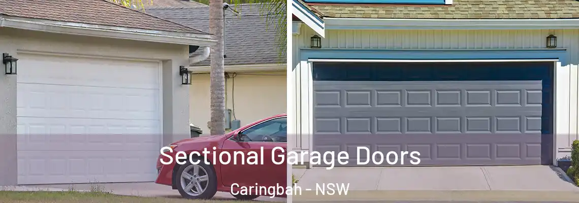 Sectional Garage Doors Caringbah - NSW