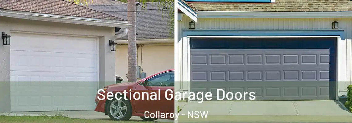 Sectional Garage Doors Collaroy - NSW