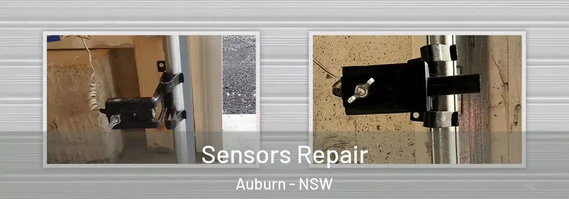 Sensors Repair Auburn - NSW