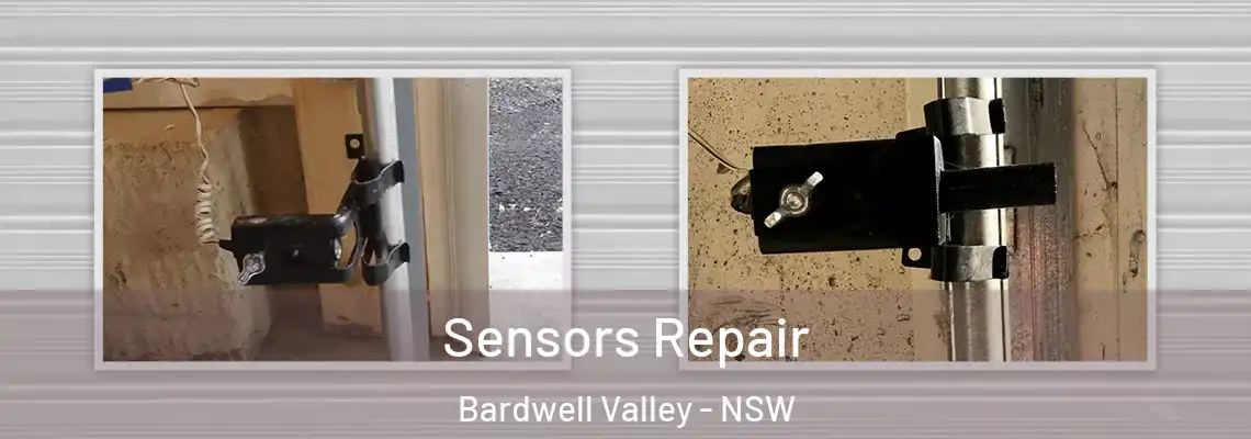 Sensors Repair Bardwell Valley - NSW