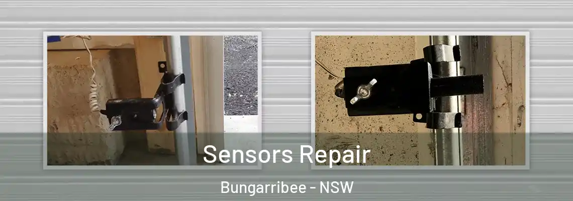 Sensors Repair Bungarribee - NSW