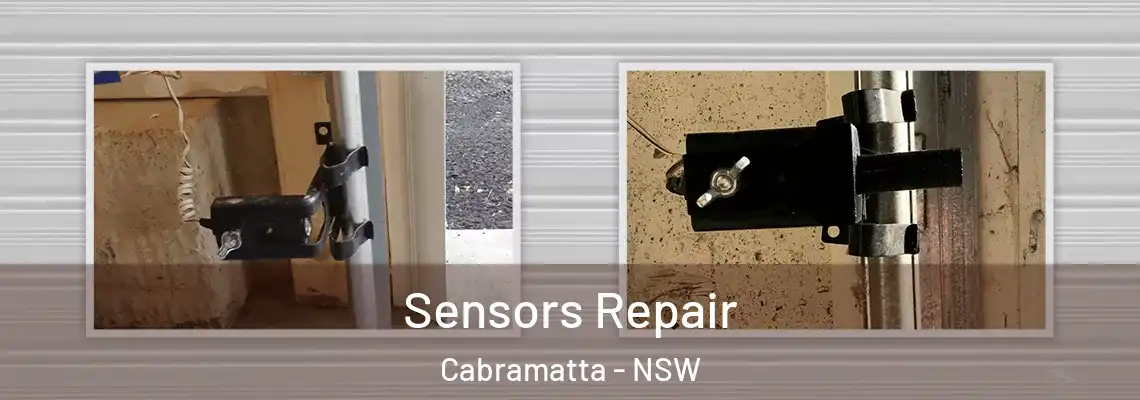 Sensors Repair Cabramatta - NSW