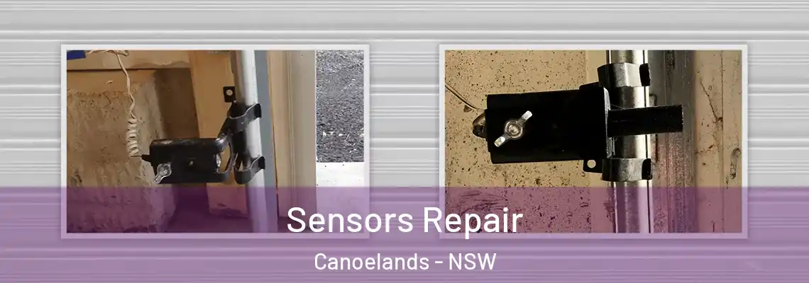 Sensors Repair Canoelands - NSW