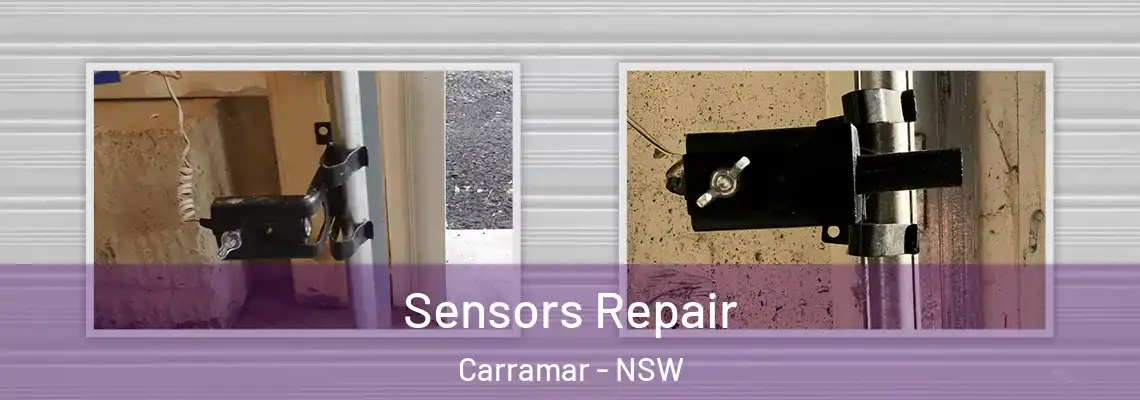 Sensors Repair Carramar - NSW