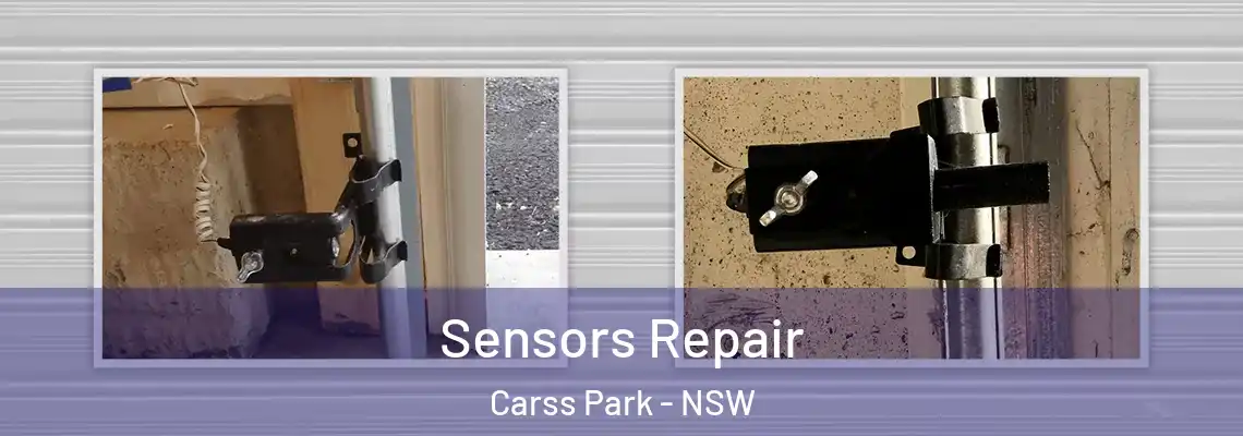Sensors Repair Carss Park - NSW