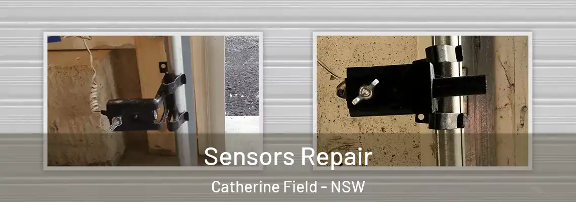 Sensors Repair Catherine Field - NSW