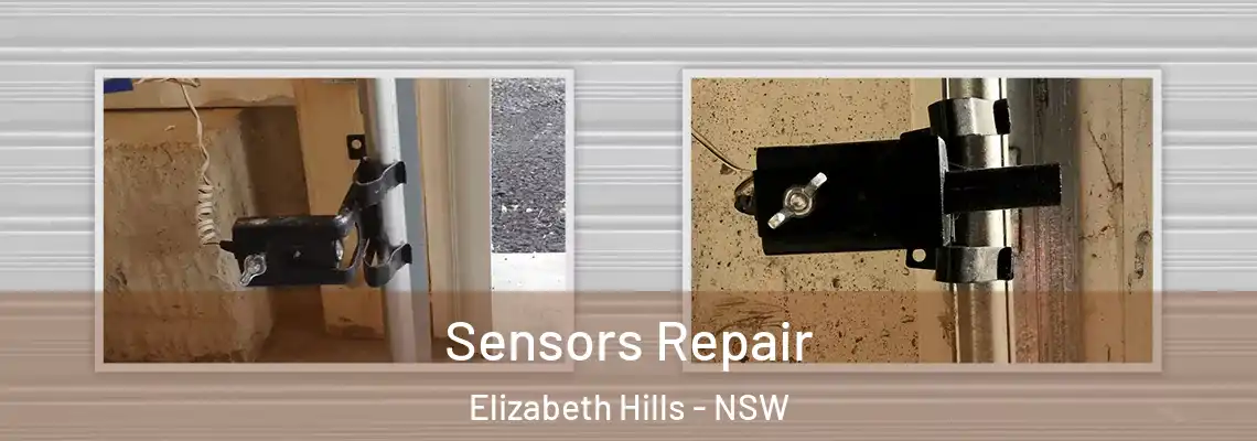 Sensors Repair Elizabeth Hills - NSW
